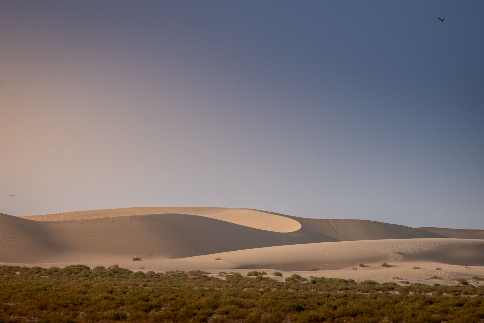 Encontro com o deserto